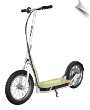 Razor EcoSmart SUP Electric Scooter - White